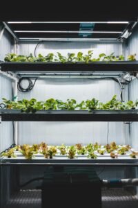 How Climate-Smart Agriculture Is Shaping Future Farm Productivity